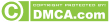 Website Content Protection