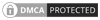 Racinglook.com Protection Status